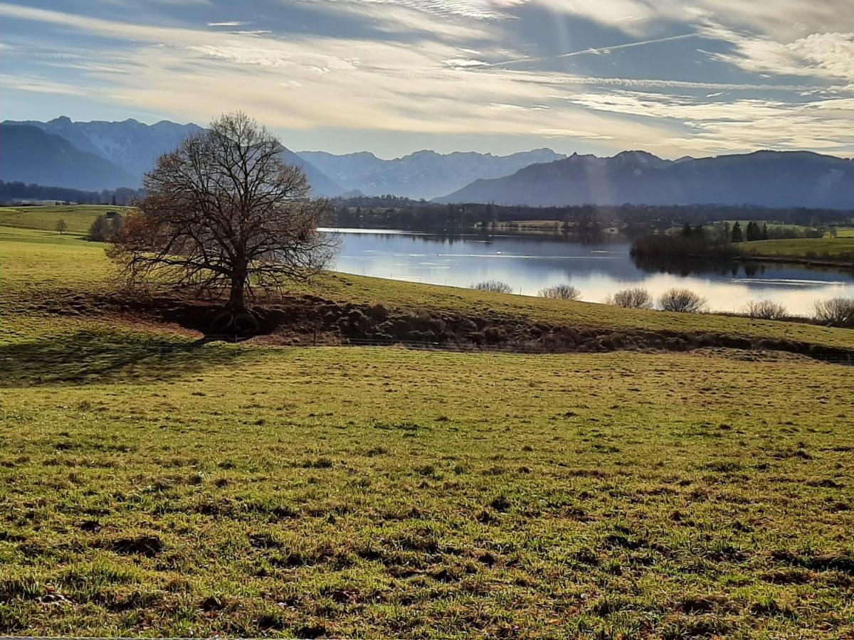 Aparthotel Werdenfels Murnau am Staffelsee Exteriör bild