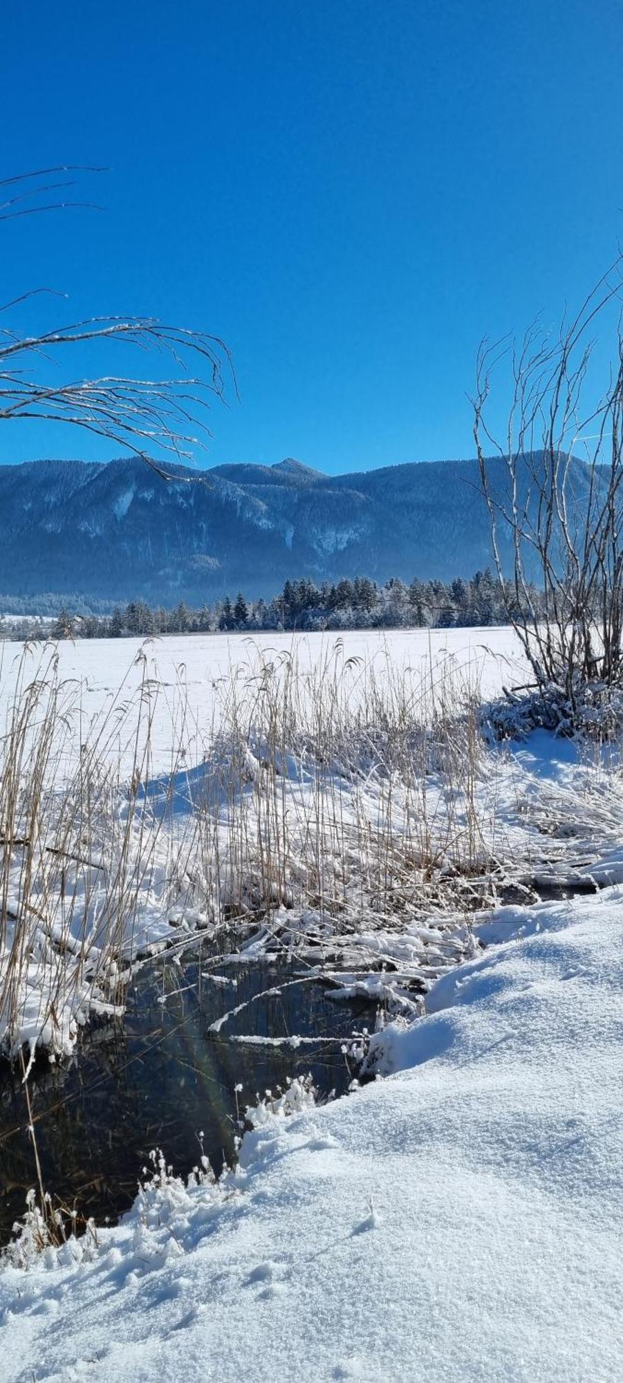 Aparthotel Werdenfels Murnau am Staffelsee Exteriör bild